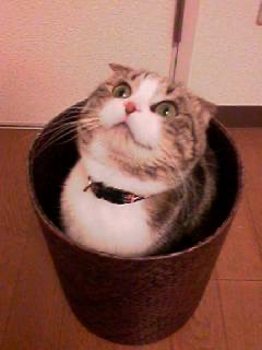 萩原蔵王