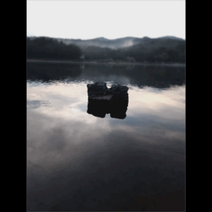 鷹埜狩月